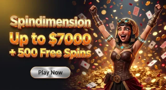 Spindimension